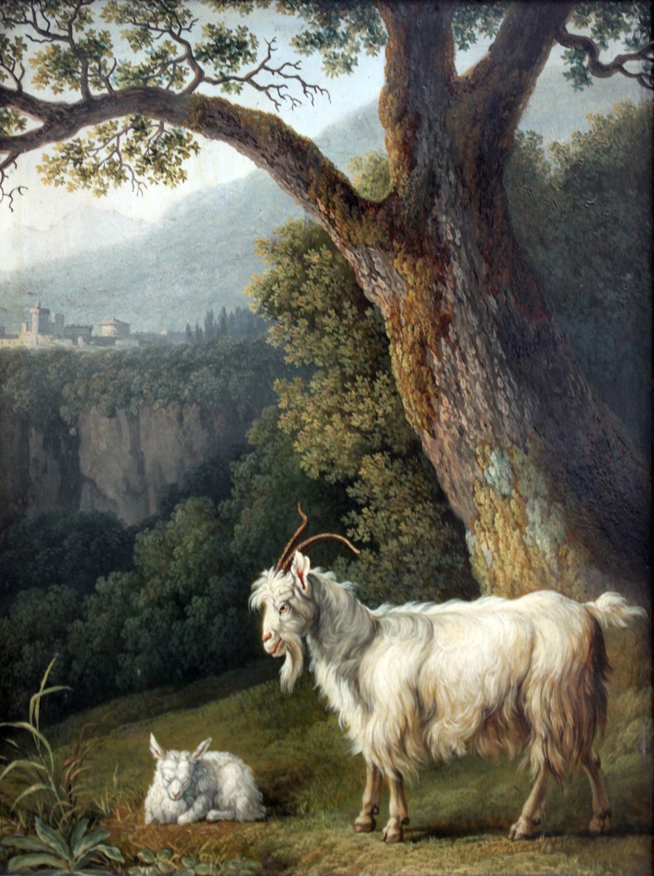 Goat and Lamb by Jacob Philipp Hackert: Buy fine art print